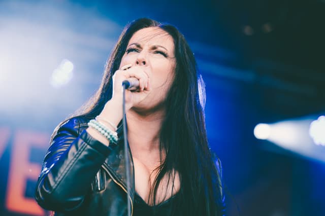 Ackerbrand Festival image 7